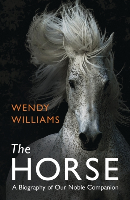 The Horse : A Biography of Our Noble Companion, Paperback / softback Book