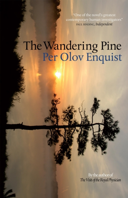The Wandering Pine : Life as a Novel, EPUB eBook