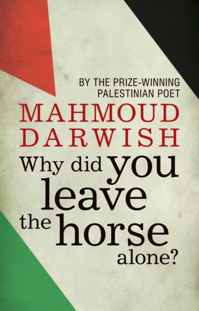 Why Did You Leave the Horse Alone?, PDF eBook