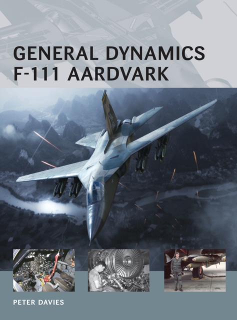 General Dynamics F-111 Aardvark, PDF eBook