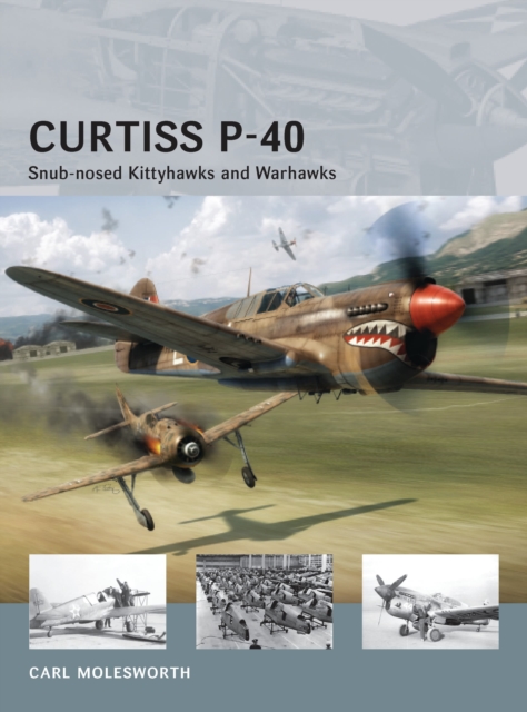 Curtiss P-40 : Snub-nosed Kittyhawks and Warhawks, Paperback / softback Book