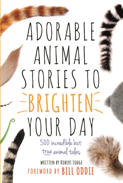 Adorable Animal Stories to Brighten Your Day : 500 Incredible but True Animal Tales, Hardback Book