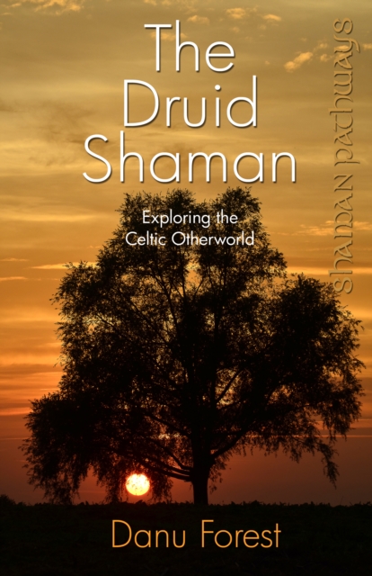 Shaman Pathways - the Druid Shaman : Exploring the Celtic Otherworld, Paperback / softback Book