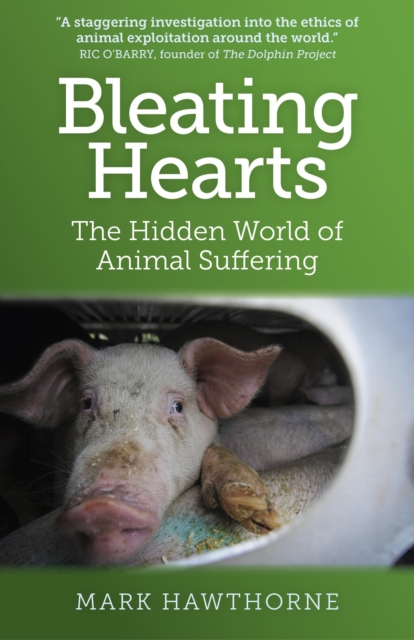 Bleating Hearts : The Hidden World of Animal Suffering, Paperback / softback Book