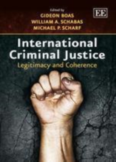 International Criminal Justice, PDF eBook
