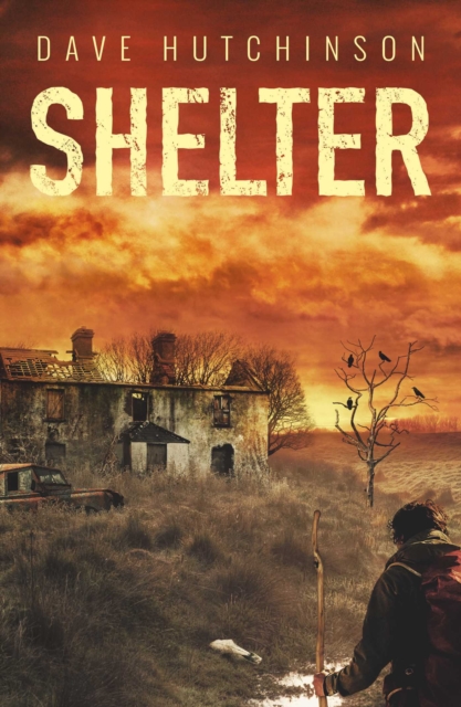 Shelter, Paperback / softback Book