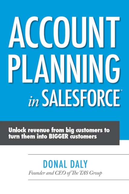 Account Planning in Salesforce : Unlock Revenue from Big Customers to Turn Them into BIGGER Customers, Electronic book text Book