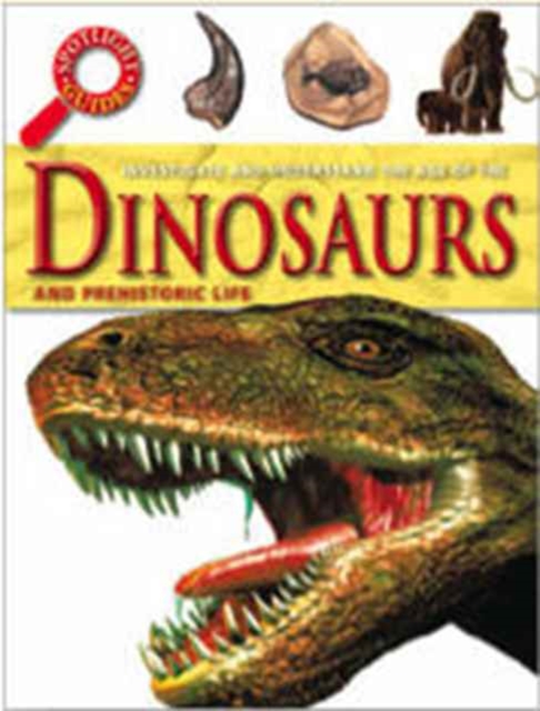 Dinosaurs, Paperback / softback Book
