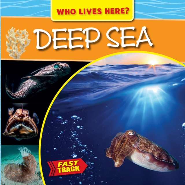 Deep Sea, PDF eBook