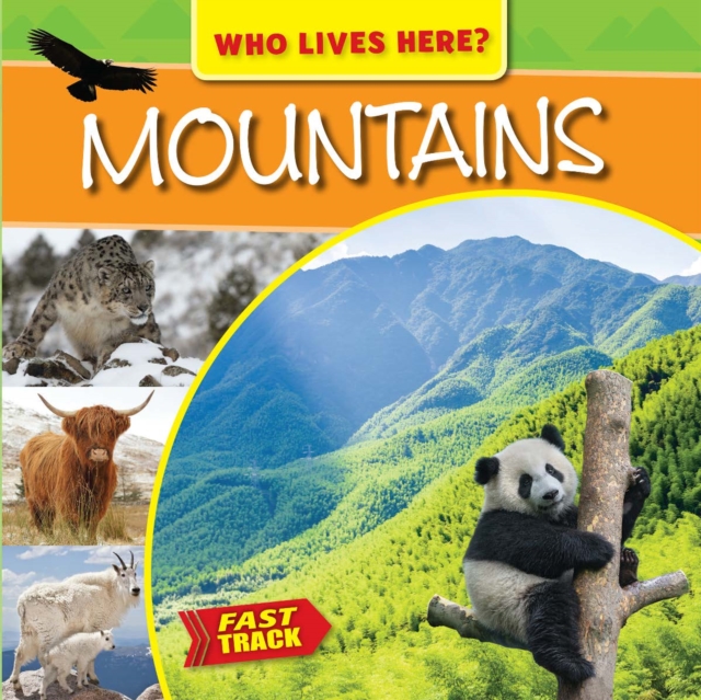 Mountains, PDF eBook