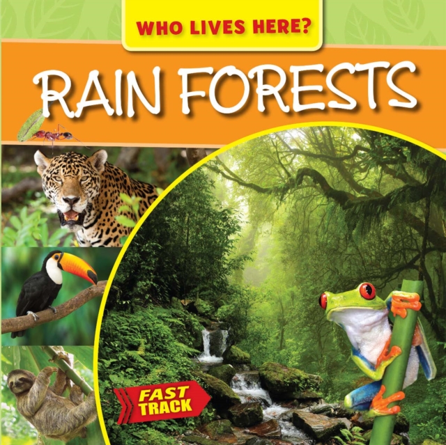Rain Forests, PDF eBook