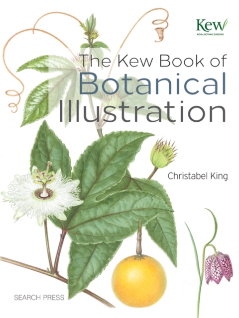 Kew Book of Botanical Illustration, PDF eBook