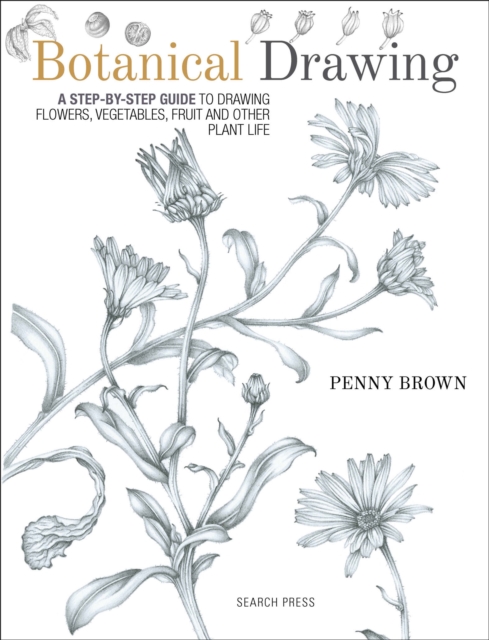 Botanical Drawing : A Step-By-Step Guide to Drawing Flowers, Vegetables, Fruit and Other Plant Life, EPUB eBook