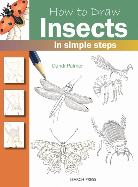 How to Draw: Insects, PDF eBook
