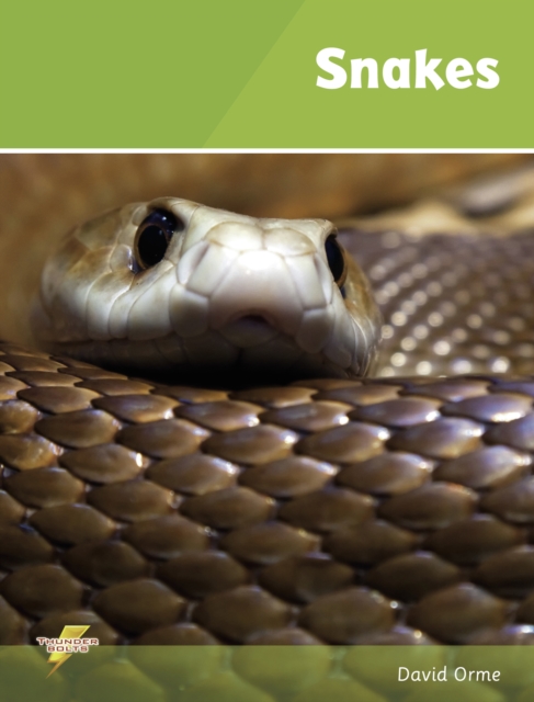 Snakes (ebook) : Set 1, PDF eBook