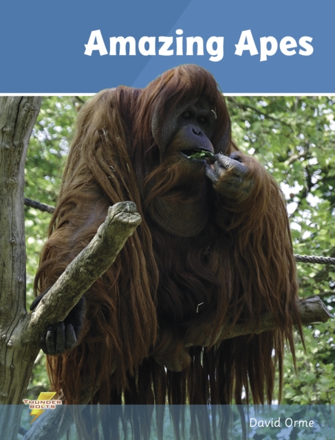 Amazing Apes (ebook) : Set 2, PDF eBook
