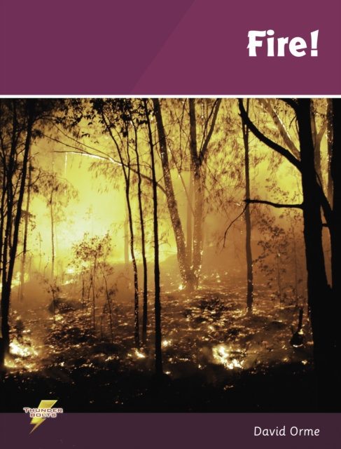 Fire! : Set 3, PDF eBook