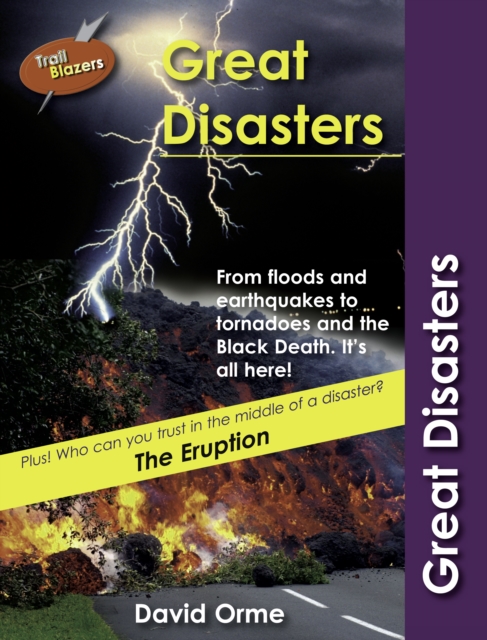 Great Disasters : Set Eight, PDF eBook