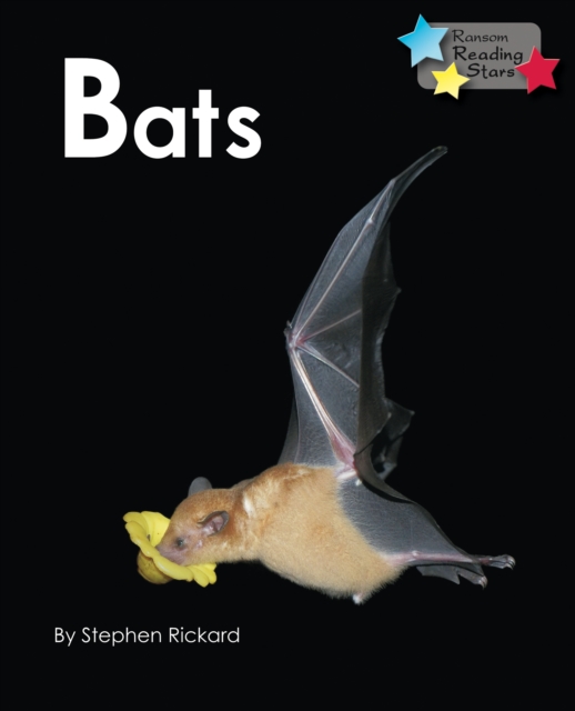 Bats, Paperback / softback Book