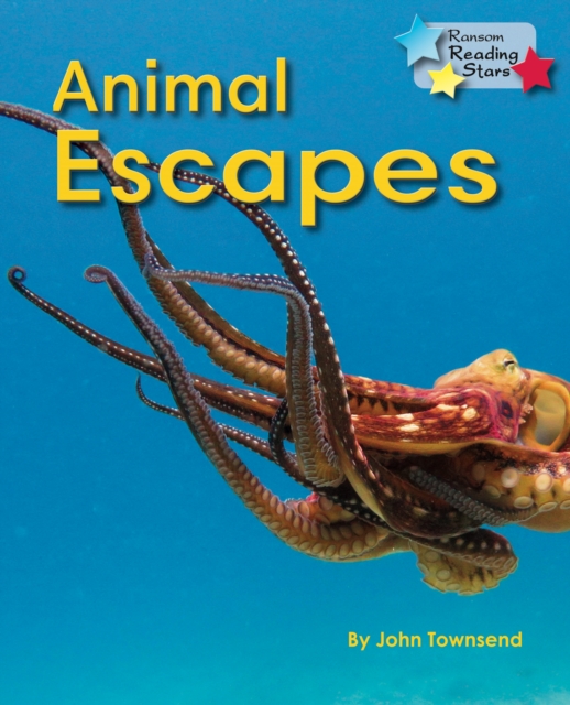 Animal Escapes, Paperback / softback Book