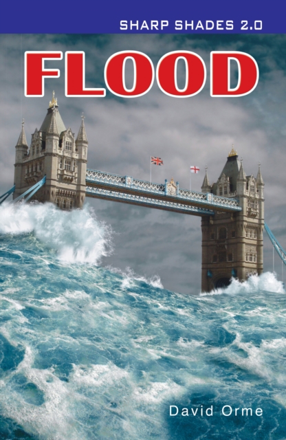 Flood  (Sharp Shades), Paperback / softback Book