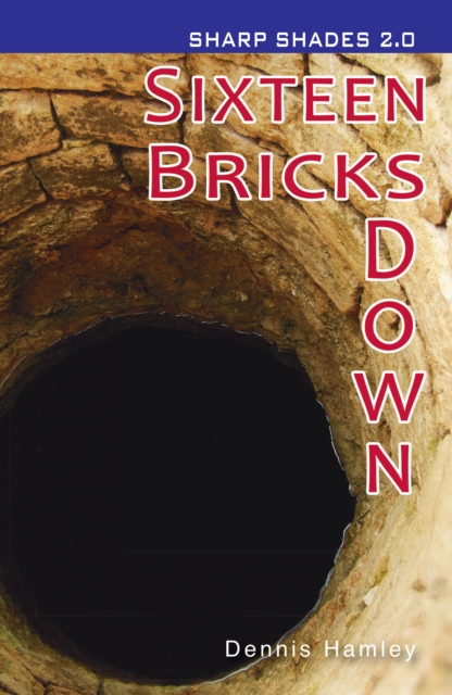 Sixteen Bricks Down  (Sharp Shades 2.0) (ebook), EPUB eBook