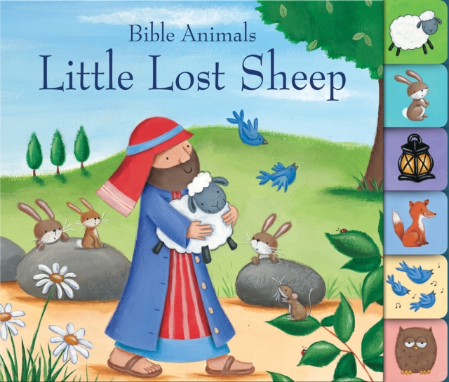 Little Lost Sheep, Board book Book