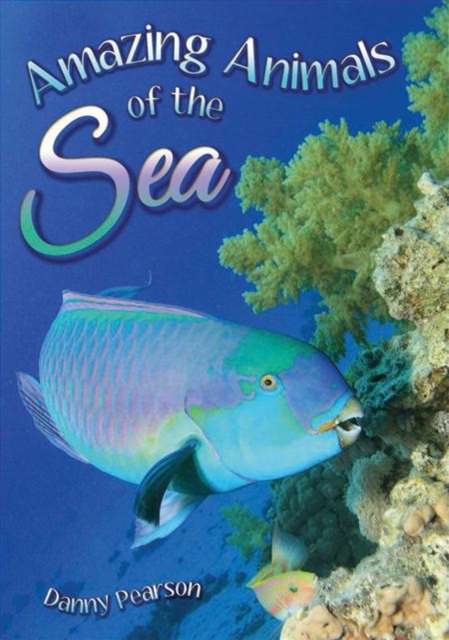 Amazing Animals of the Sea, Paperback / softback Book