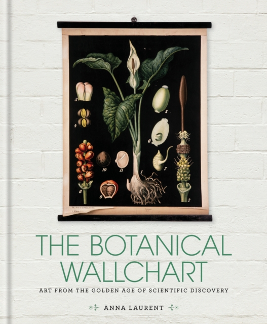 The Botanical Wall Chart : Art from the golden age of scientific discovery, EPUB eBook