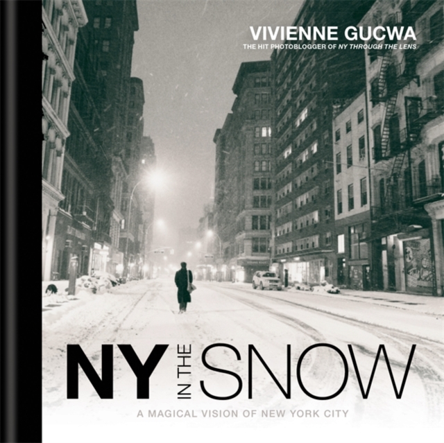 New York in the Snow, Hardback Book