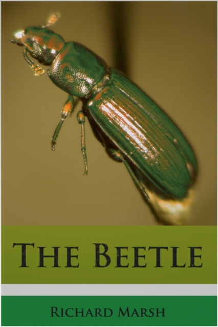 The Beetle, EPUB eBook