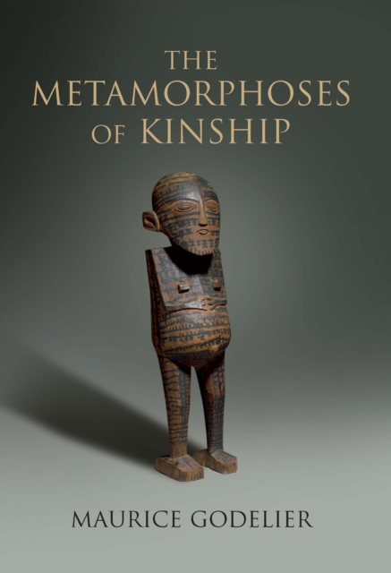 The Metamorphoses of Kinship, EPUB eBook