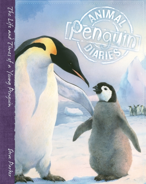 Animal Diaries: Penguin, Hardback Book