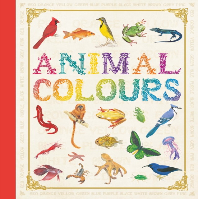 First Concept: Animal Colours, Hardback Book