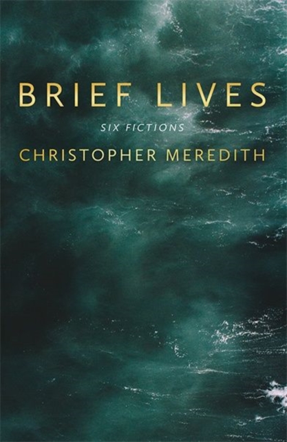 Brief Lives, Hardback Book