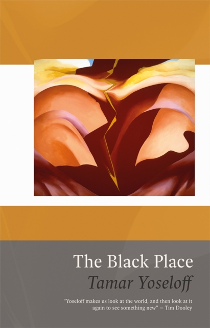 The Black Place, Paperback / softback Book