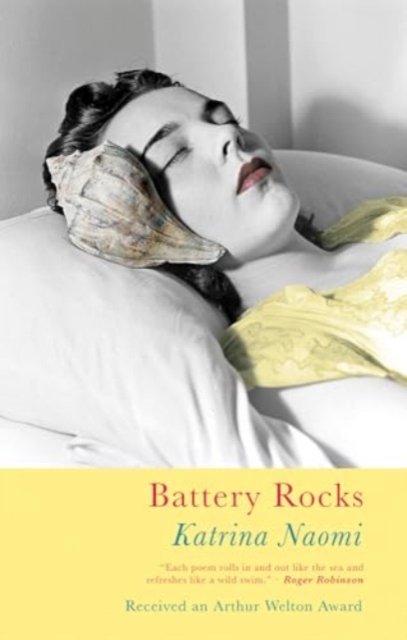 Battery Rocks, Paperback / softback Book
