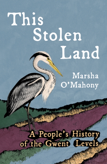 This Stolen Land : A People's History of the Gwent Levels, Paperback / softback Book