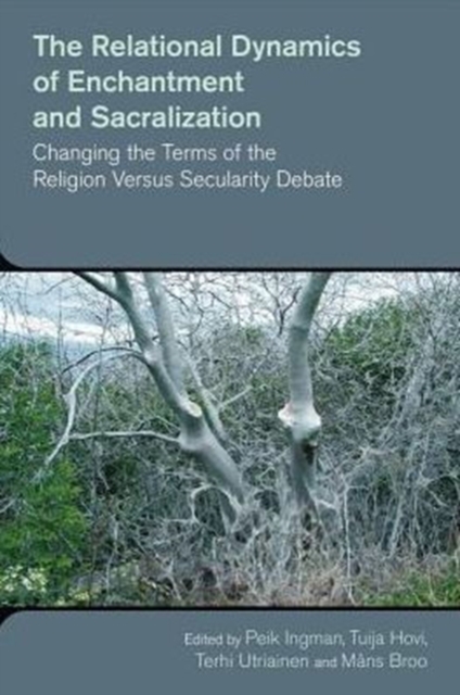 The Relational Dynamics of Disenchantment and Sacralization : Changing the Terms of the Religion versus Secularity Debate, Hardback Book