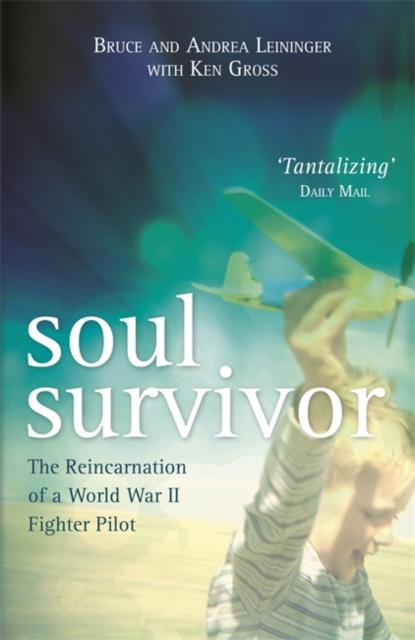 Soul Survivor : The Reincarnation of a World War II Fighter Pilot, Paperback / softback Book