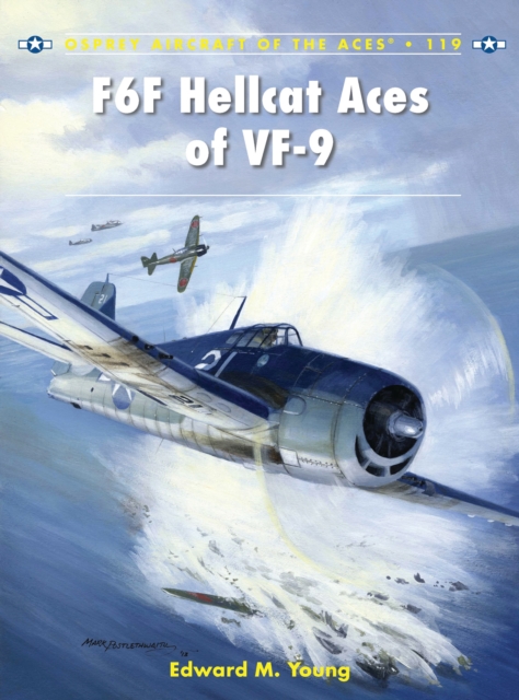 F6F Hellcat Aces of VF-9, Paperback / softback Book