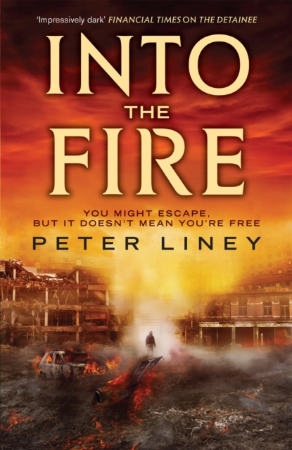 Into The Fire : The Detainee Book 2, EPUB eBook