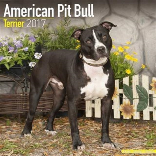 American Pit Bull Terrier Calendar 2017, Calendar Book