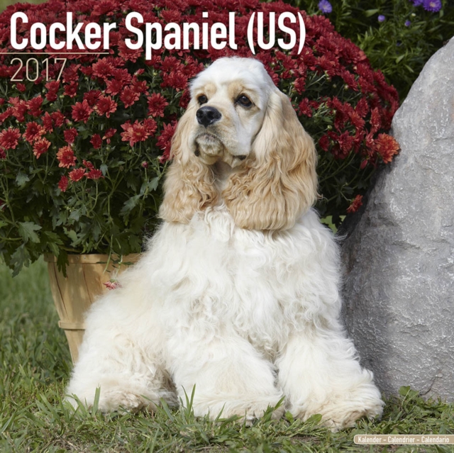 Cocker Spaniel (US) Calendar 2017, Calendar Book