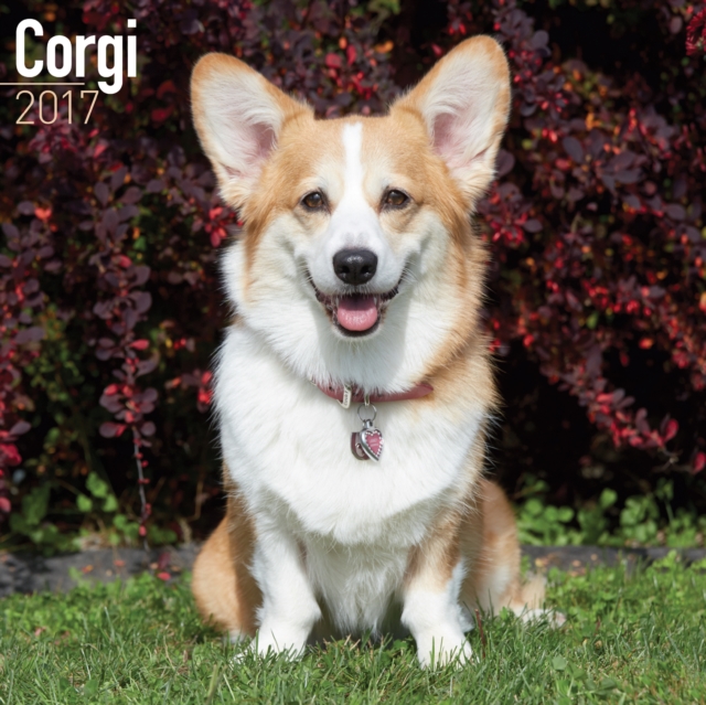 Corgi Calendar 2017, Calendar Book