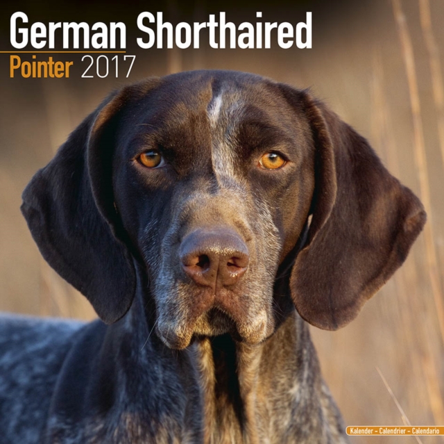 German Shorthaired Pointer Calendar 2017, Paperback Book