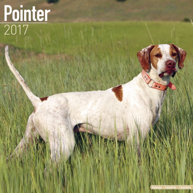 Pointer Calendar 2017, Paperback Book