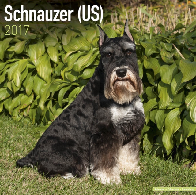 Schnauzer (US) Calendar 2017, Calendar Book