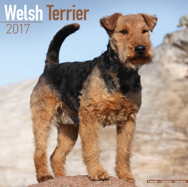 Welsh Terrier Calendar 2017, Calendar Book
