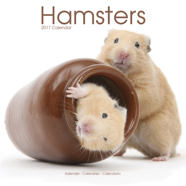 Hamsters Calendar 2017, Calendar Book